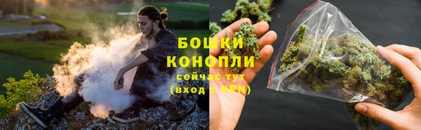 PSILOCYBIN Балабаново