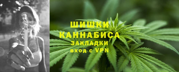 PSILOCYBIN Балабаново
