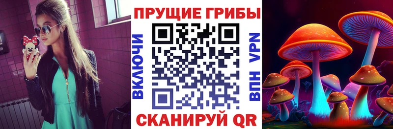 цены наркотик  Плёс  Галлюциногенные грибы мицелий 